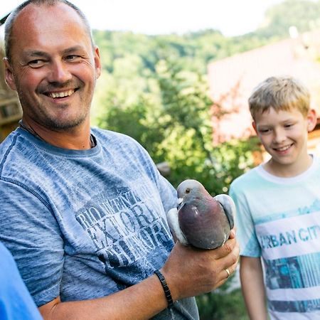 Zwergerlhof Apartman Loich Kültér fotó